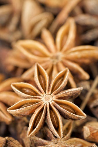 Stjerneanis